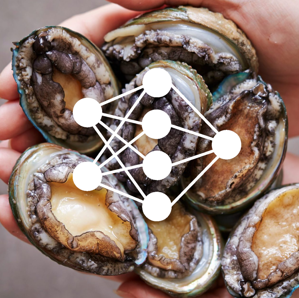 Abalone Age Detection Project