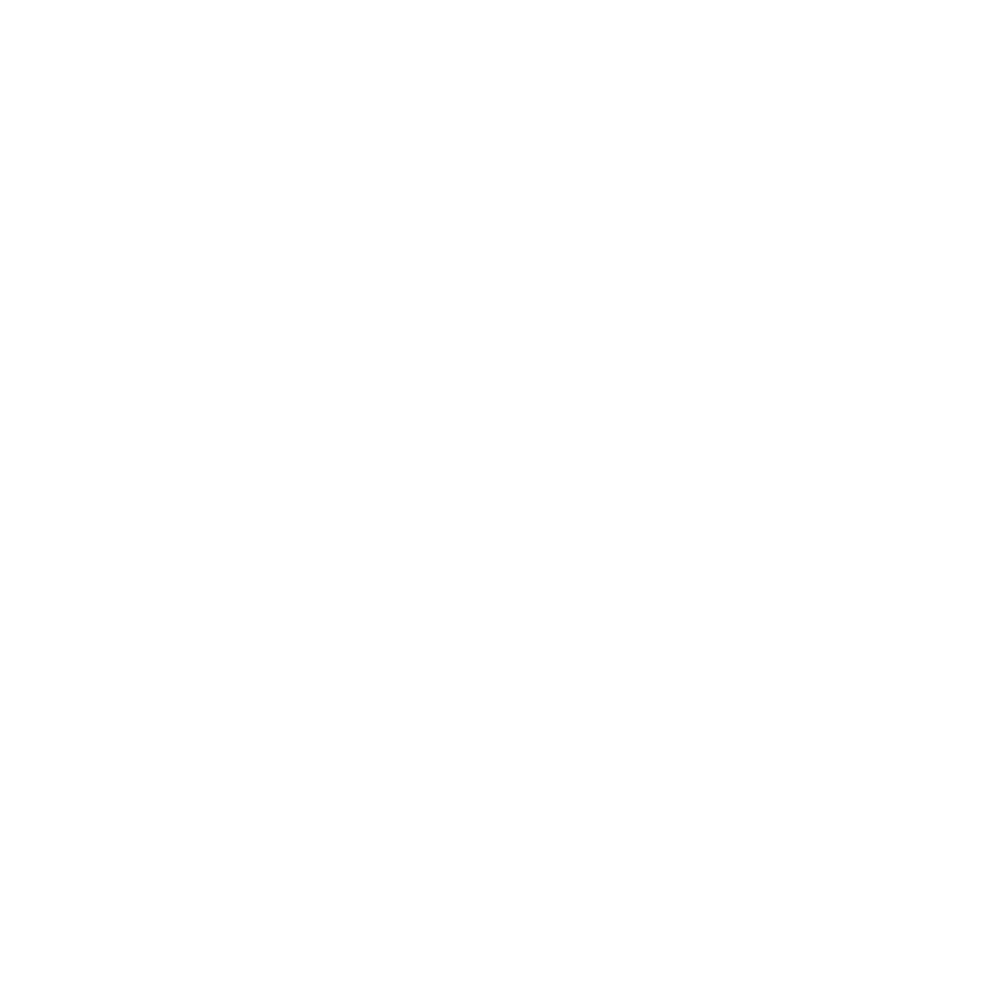 Experience icon
