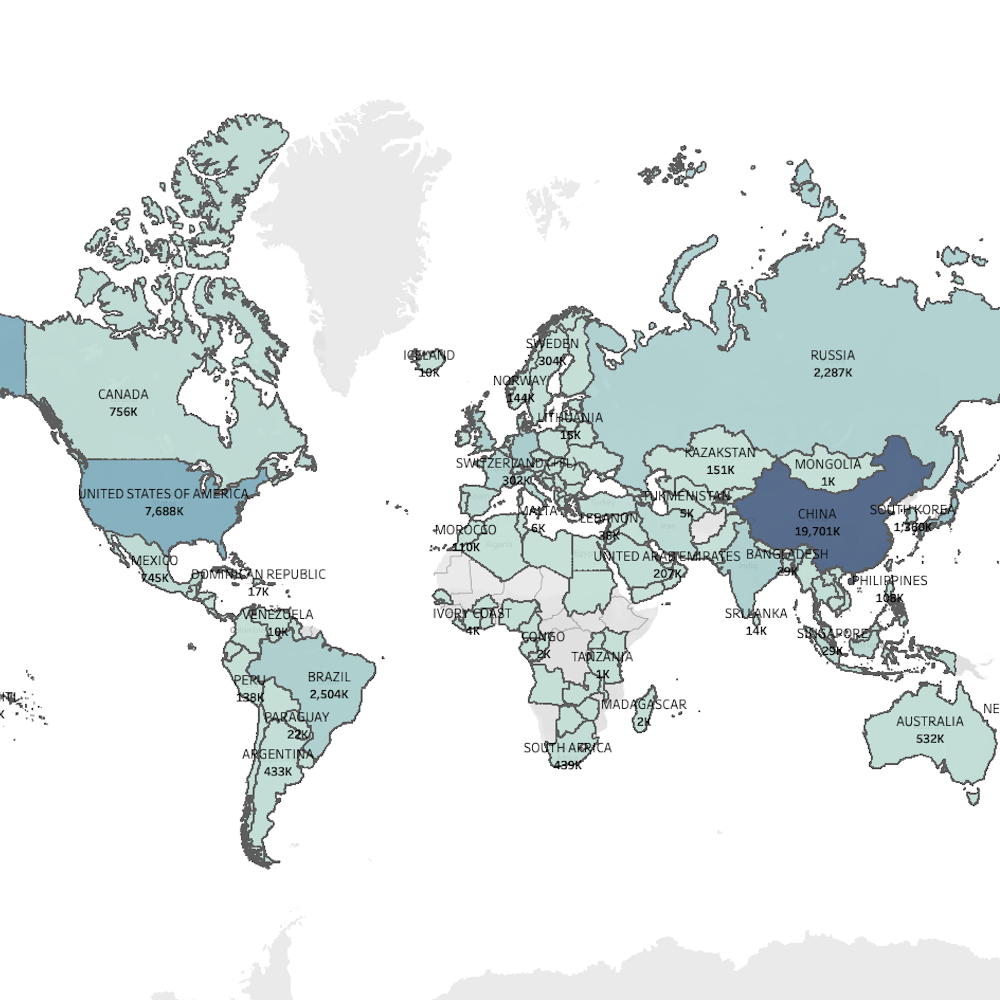Vehicle Sold By Country Project